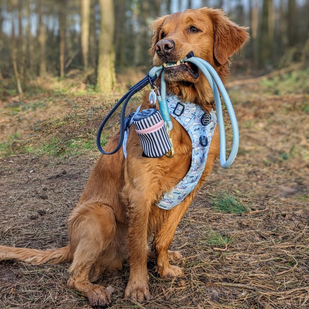 Disney© 4ft Rope Lead - Eeyore - Baby Blue and Navy