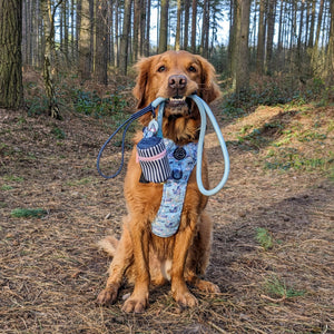 Disney© Treat Pouch - Eeyore