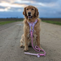 Disney© 4ft Rope Lead - Piglet - Pink