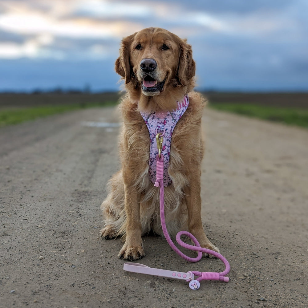 Disney© 4ft Rope Lead - Piglet - Pink