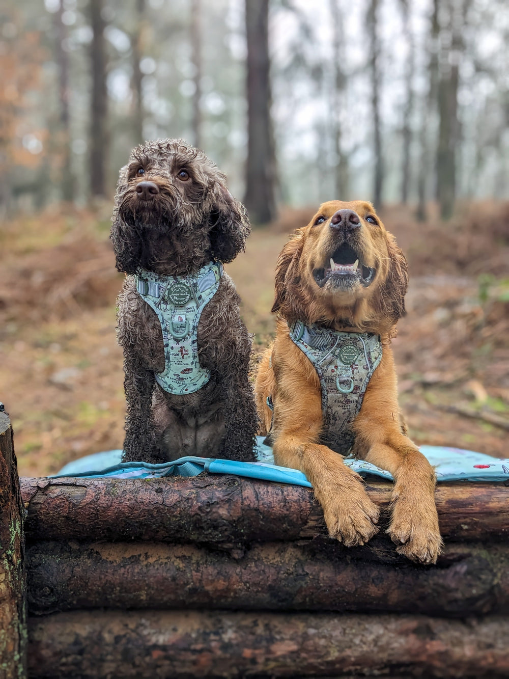 Disney© Travel Mat - 100 Aker Wood