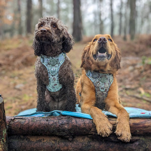 Disney© Travel Mat - 100 Aker Wood