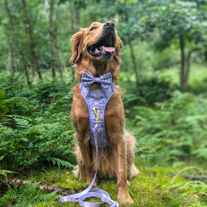 Disney© Bow Tie - Bambi + Friends Lilac Gingham