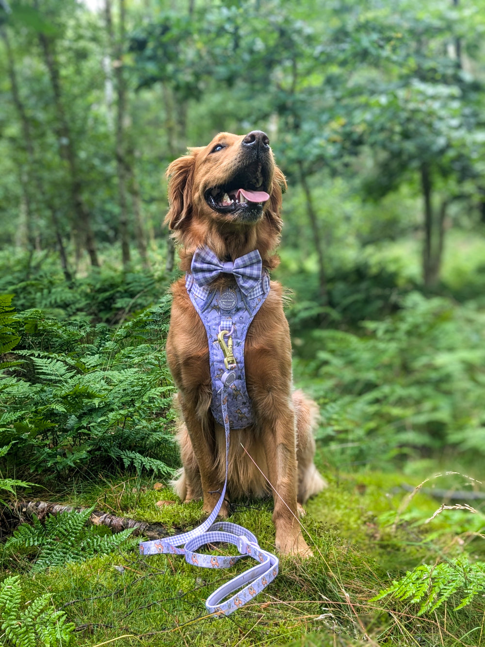 Disney© Lead - Bambi + Friends Lilac