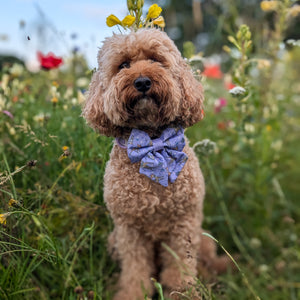 Disney© Sailor Bow Tie - Bambi + Friends Lilac