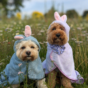 Disney© Hooded Microfibre Towel - Bambi + Friends Lilac