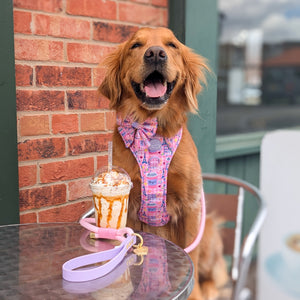 Sailor Bow Tie - Emily In Paris