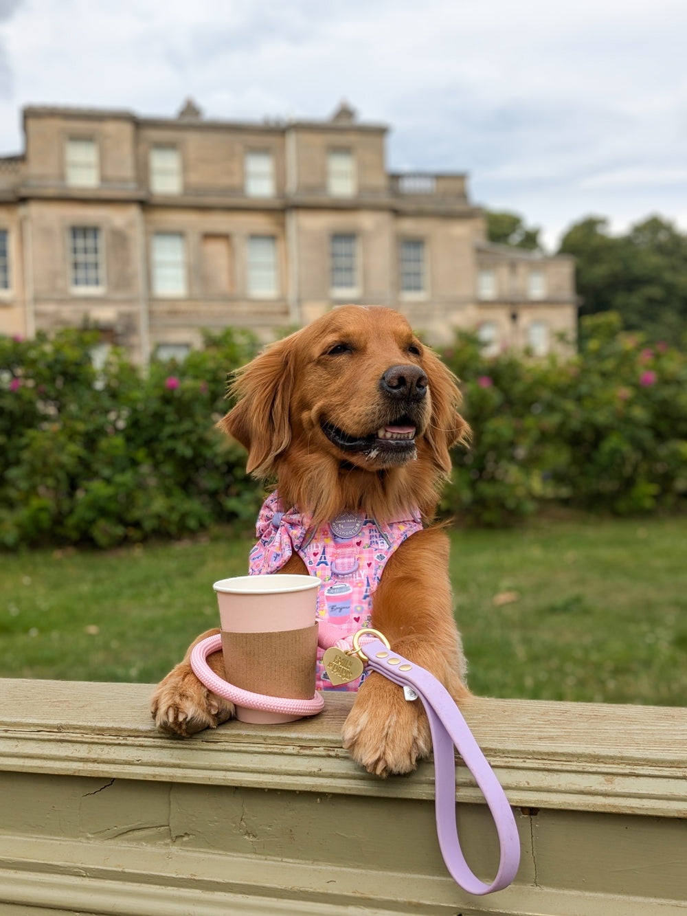 4ft Rope Lead - Emily In Paris
