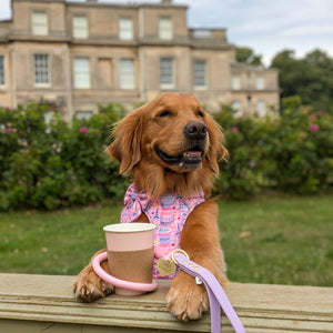 4ft Rope Lead - Emily In Paris