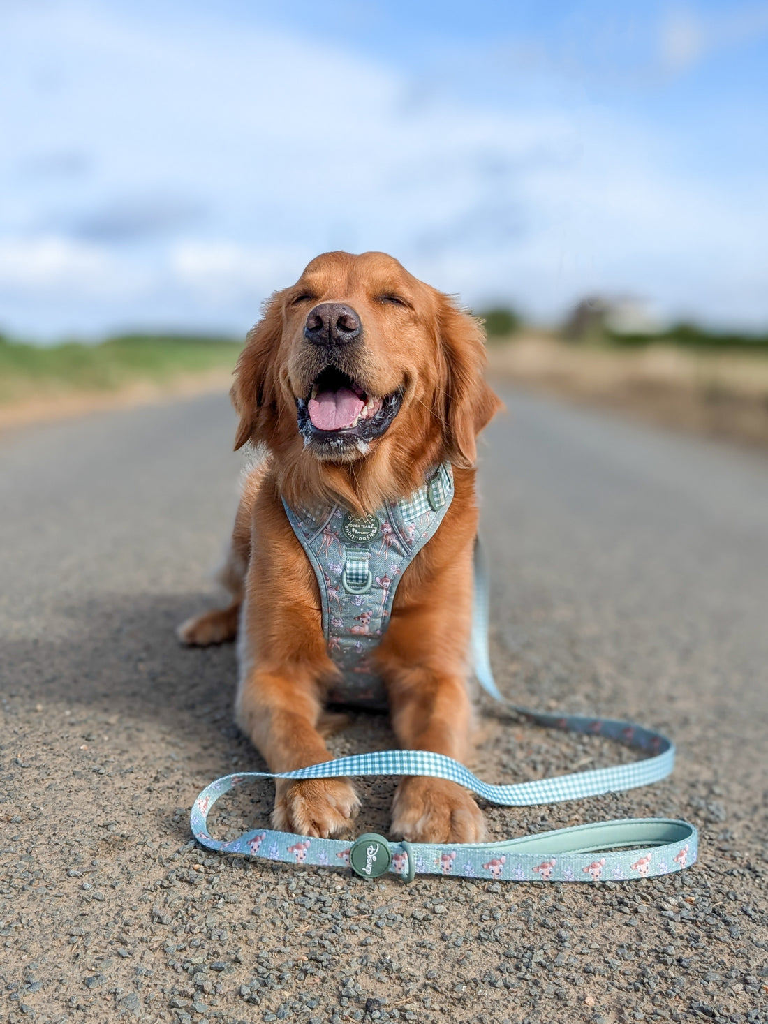 Disney© Tough Trails™ Harness - Bambi + Thumper