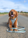 Disney© Tough Trails™ Harness - Bambi + Thumper