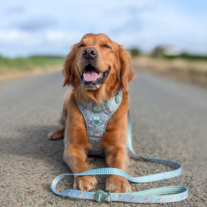 Disney© Tough Trails™ Harness - Bambi + Thumper