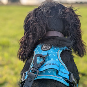 5m Waterproof Long Line Lead - Walkies Ready® Black