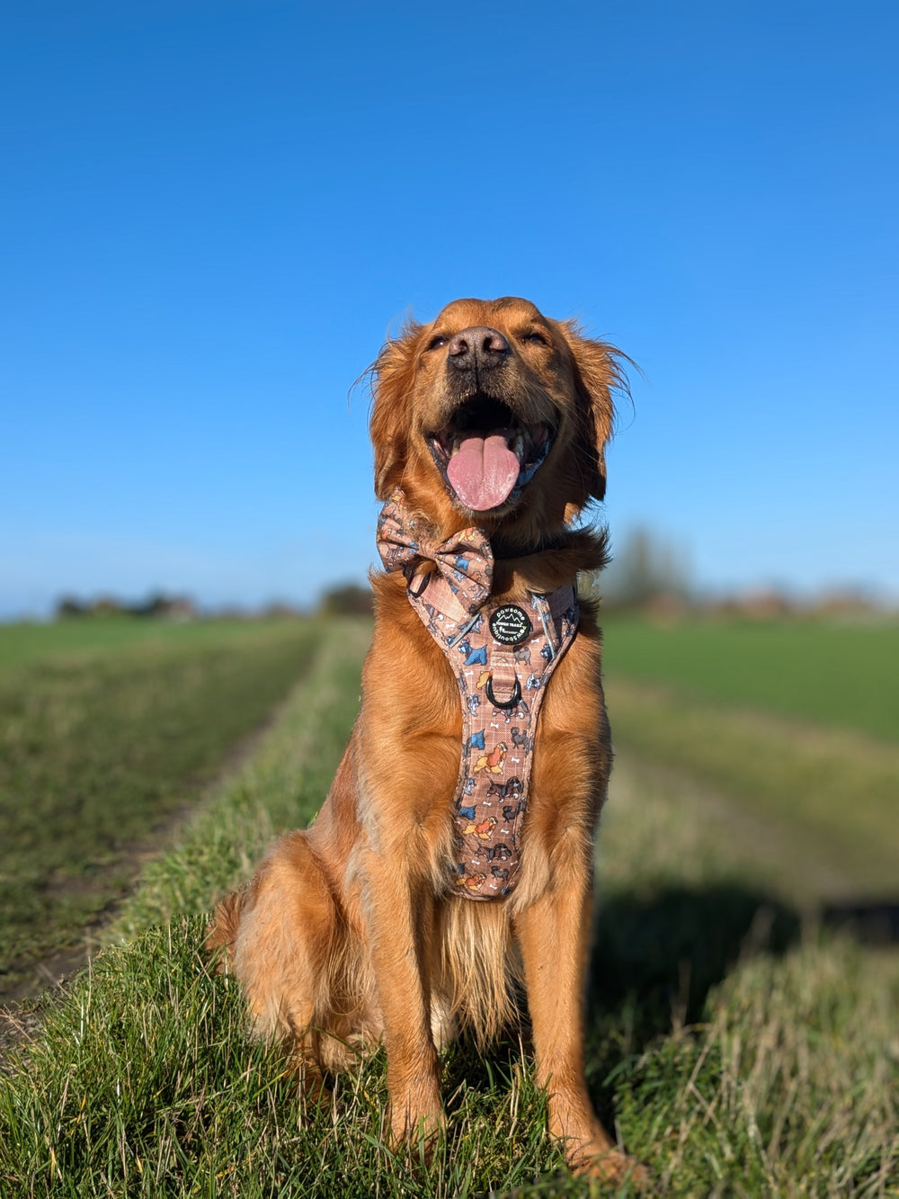 Disney© Bow Tie - Disney Dogs