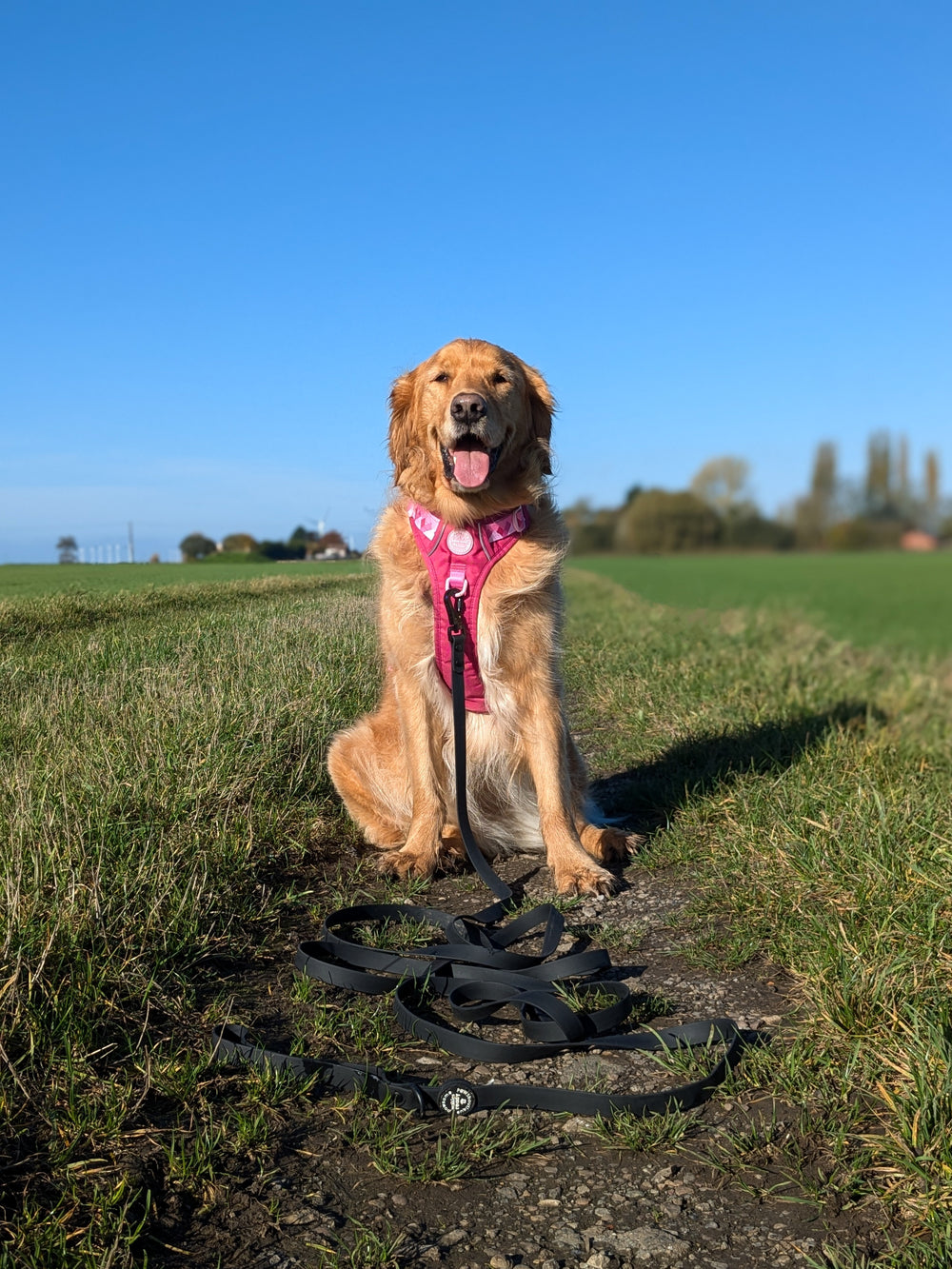 5m Waterproof Long Line Lead - Walkies Ready® Black