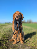5m Waterproof Long Line Lead - Walkies Ready® Black