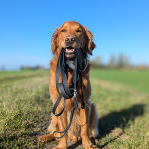 5m Waterproof Long Line Lead - Walkies Ready® Black