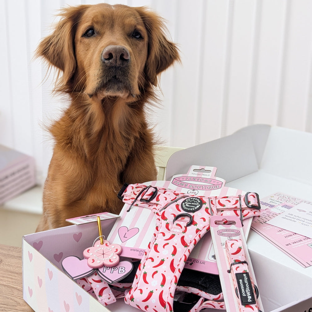 Pawsome Poop Pocket - Chilli Dog Flower