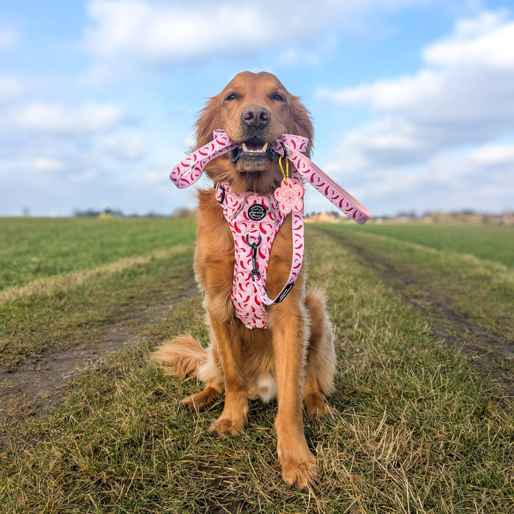 Pawsome Poop Pocket - Chilli Dog Flower