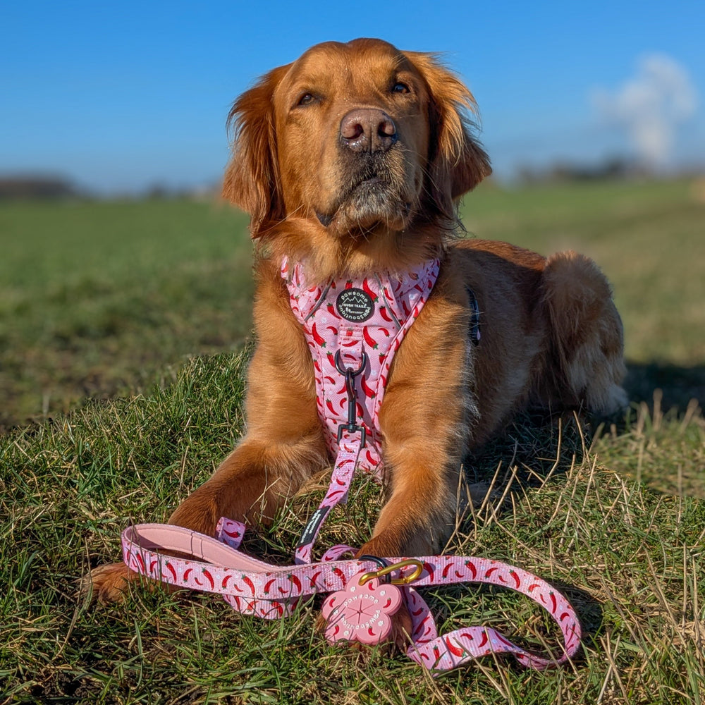 Pawsome Poop Pocket - Chilli Dog Flower