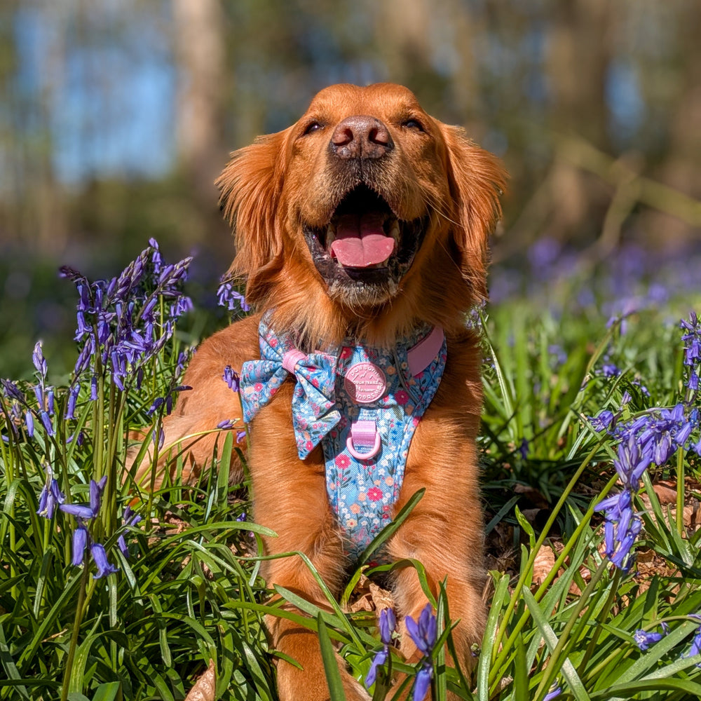 Sailor Bow - Whimsical Wildflowers