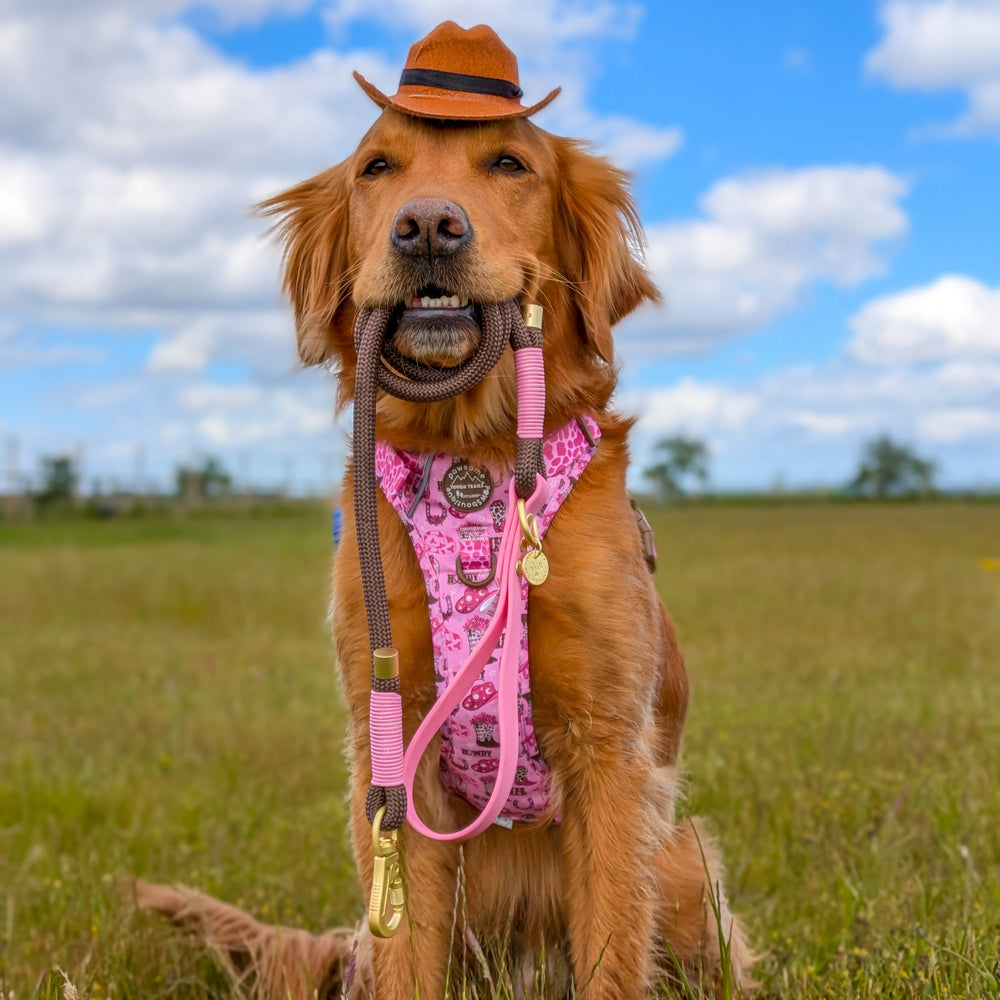 4ft Rope Lead - Brown + Pink