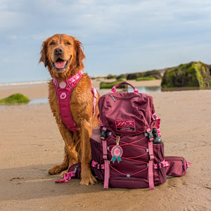 Walkies Ready® Hiking Backpack