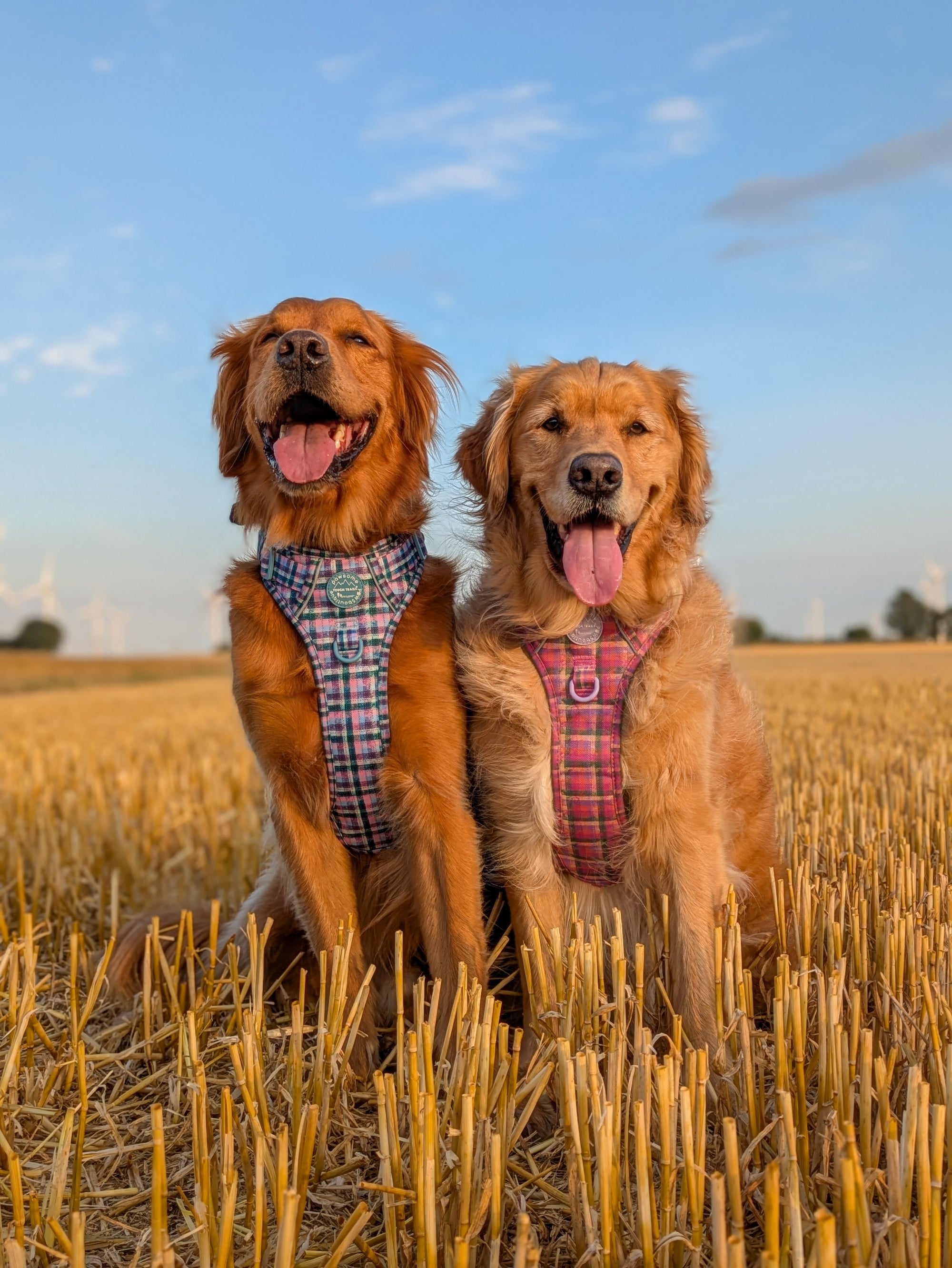 TWEED COLLECTION-image