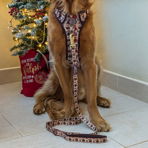 Lead - Snuggle Season