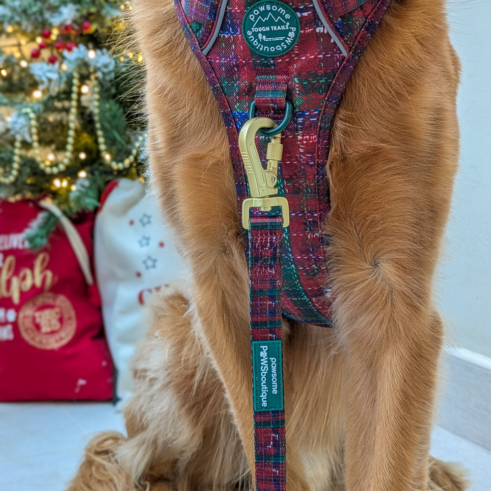 Lead - Yuletide Plaid