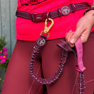 Handsfree Lead - Walkies Ready® Mulberry