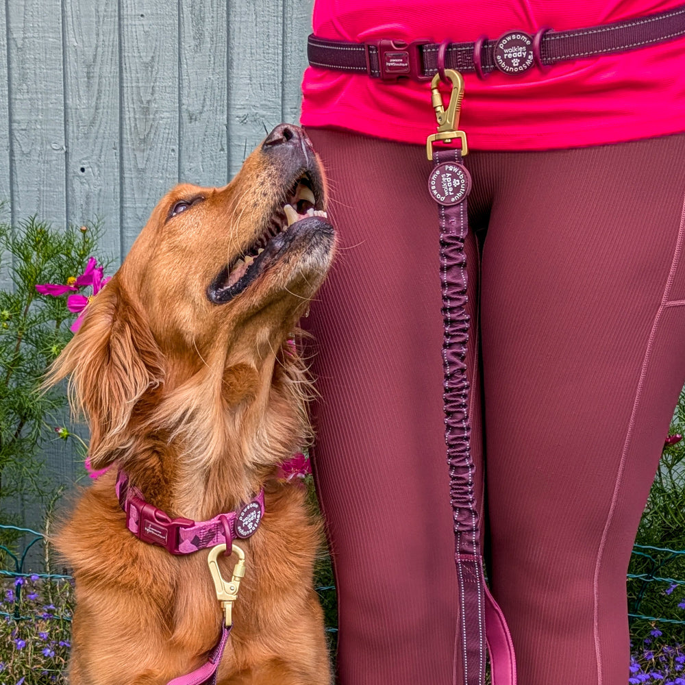 Handsfree Lead - Walkies Ready® Mulberry