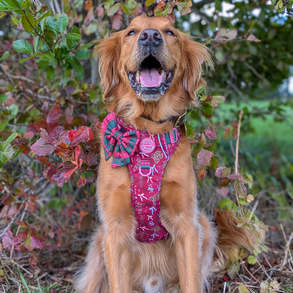 Sailor Bow - Bows Of Joy (Gingham)