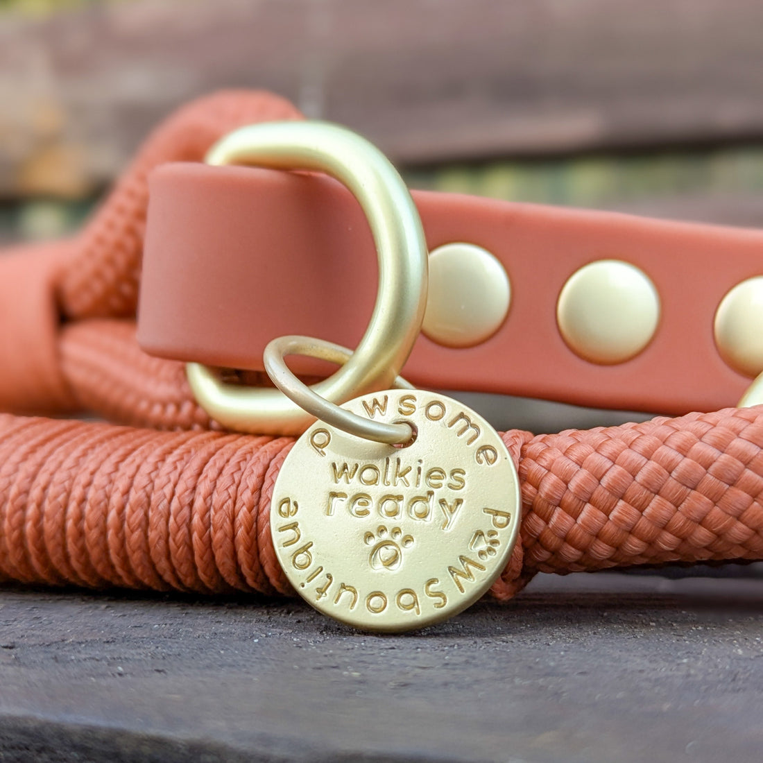4ft Rope Lead - Rust