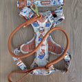 4ft Rope Lead - Rust