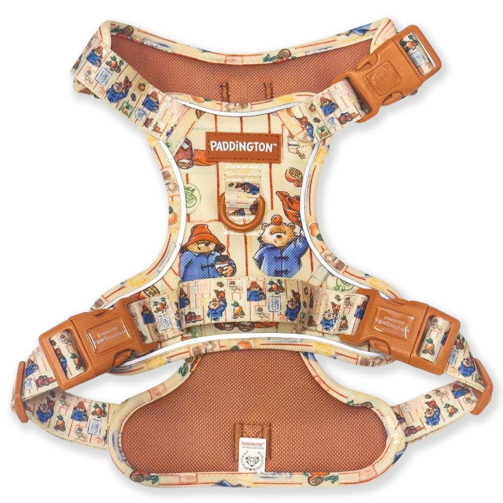 Paddington™ Tough Trails™ Harness - Peckish Paddington