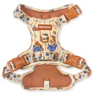 Paddington™ Tough Trails™ Harness - Peckish Paddington