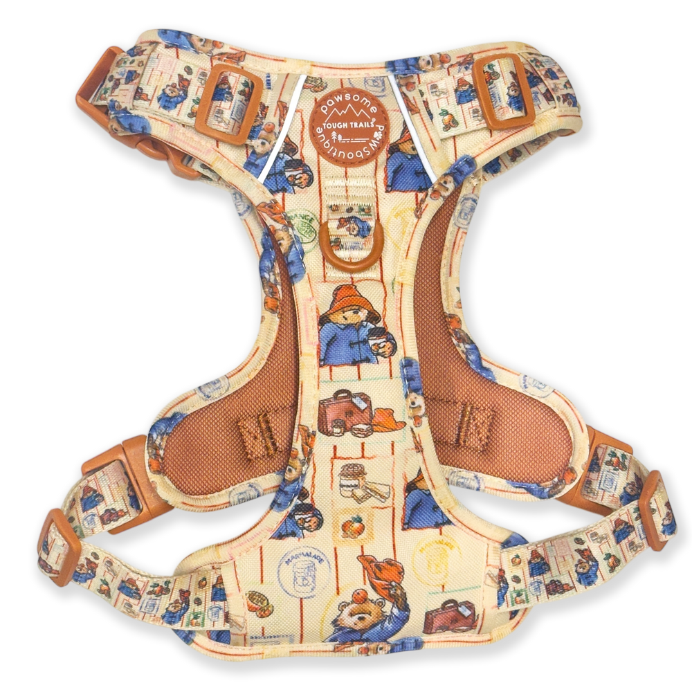 Paddington™ Tough Trails™ Harness - Peckish Paddington