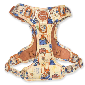 Paddington™ Tough Trails™ Harness - Peckish Paddington