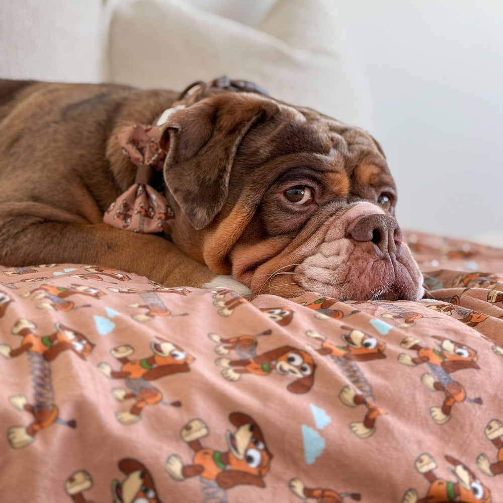 Disney© Dog Blanket - Slinky