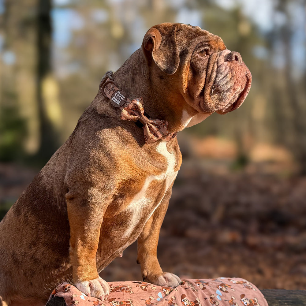 Disney© Bow Tie - Slinky