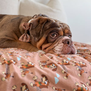 Disney© Dog Blanket - Slinky