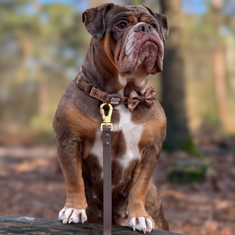 Disney© Bow Tie - Slinky