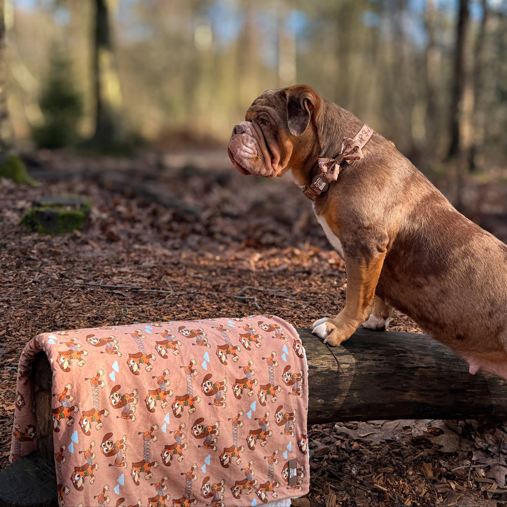 Disney© Dog Blanket - Slinky