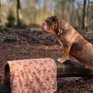 Disney© Dog Blanket - Slinky