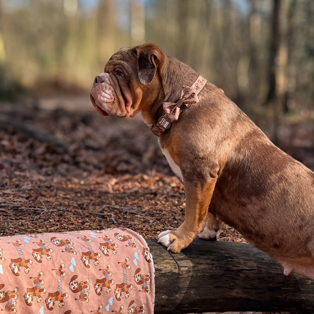 Disney© Bow Tie - Slinky