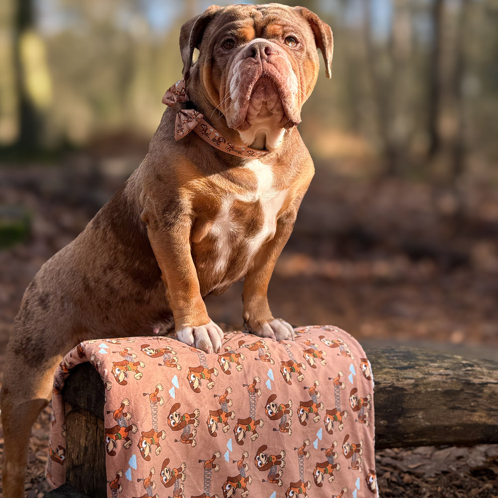 Disney© Dog Blanket - Slinky