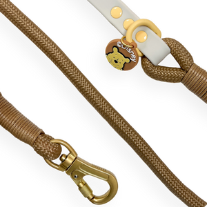 Disney© 4ft Rope Lead - Winnie The Pooh - Beige and Brown