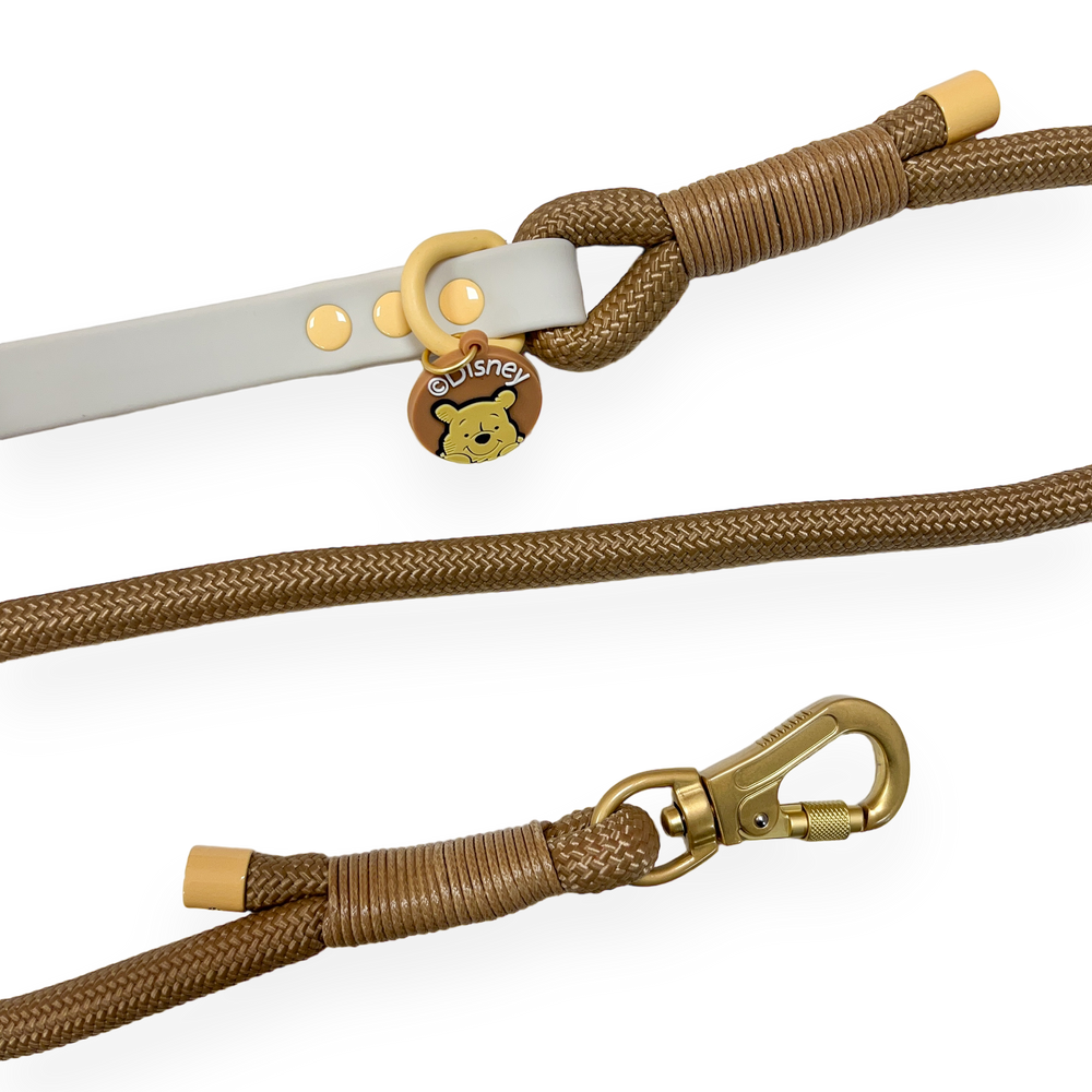 Disney© 4ft Rope Lead - Winnie The Pooh - Beige and Brown