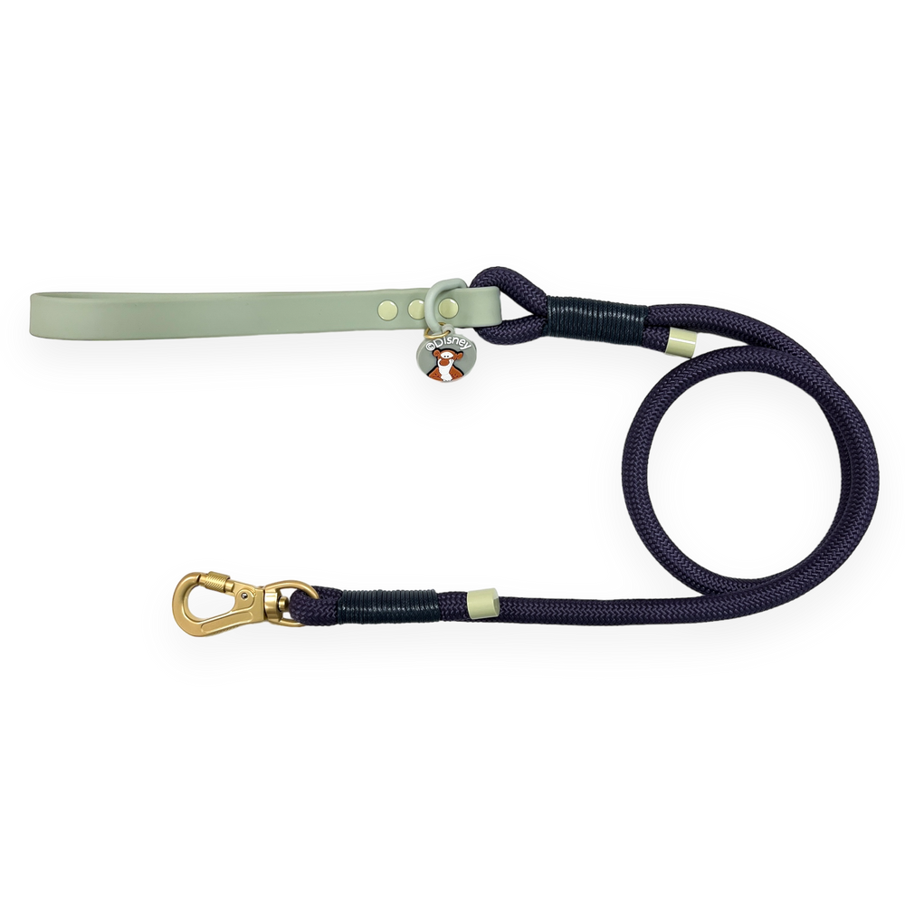 Disney© 4ft Rope Lead - Winnie + Friends - Sage and Blue
